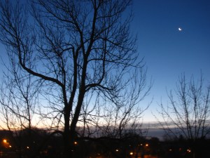 Dawn in my backyard Dawn in my backyard