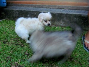 Zero (with a smudge of Bella)